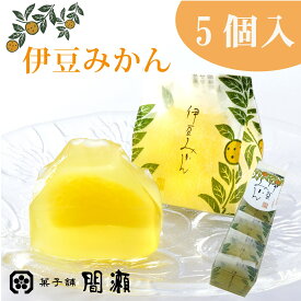 伊豆みかん　　（夏限定）　　【5個入箱】菓子舗間瀬