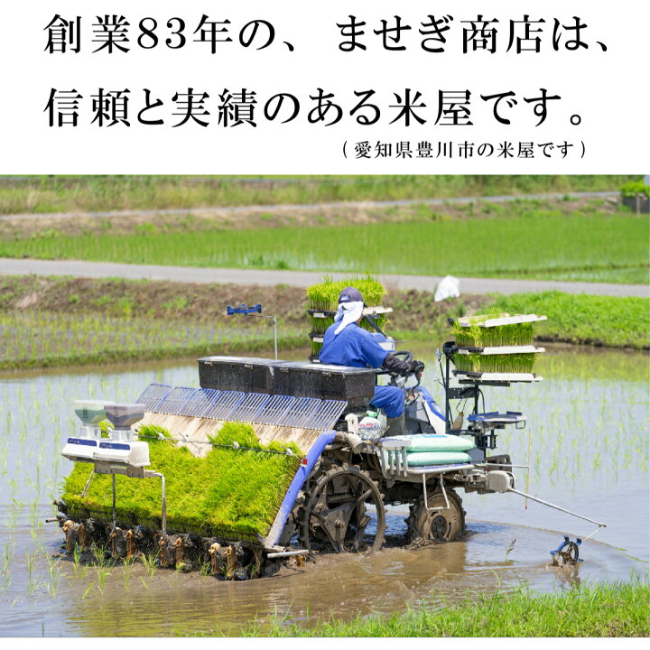 楽天市場】【あいちのかおり】【7年産】お米 米 新米 玄米 30kg 白米 