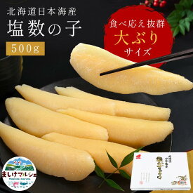 塩かずの子 最高級 北海道日本海産 500g 送料無料 数の子 塩数の子 かずのこ 海鮮 グルメ 北海道産 お歳暮 おせち ギフト 贈答用 希少 期間限定 数量限定 冷蔵