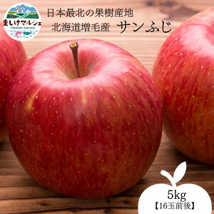 y\̔z  Tӂ kCY юY ʉ@@5kg@@12z@Ԍ@؂ꎟI