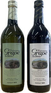 mAR[C Jck}O[v ԁE e1{ v2{ݔ׃Zbg 