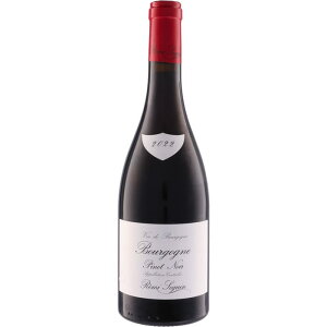 ���~ �X�K�� �u���S�[�j�� �s�m �m���[�� [2022] 750ml ��Remi Seguin Bourgogne Pinot Noir
