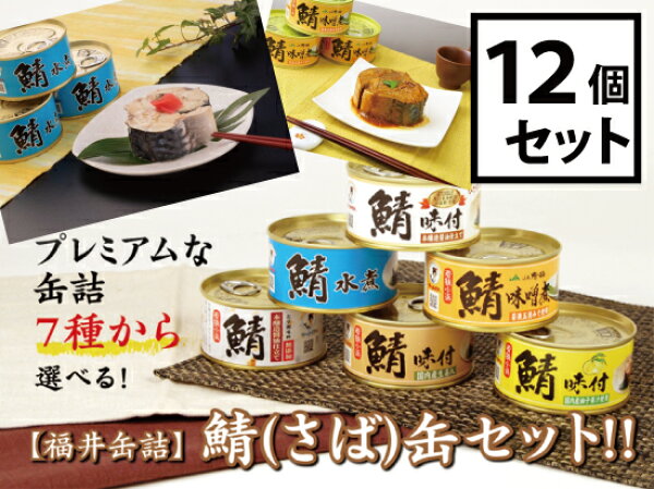 福井缶詰　7種類から選べる！鯖（さば）缶12個セット　鯖缶 〔送料無料〕