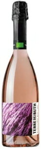 �e�b�� �f�C �u�[�X �v���Z�b�R ���[ �u�����b�g [2023] 750ml ���[�ATERRE DEI BUTH PROSECCO ROSE BRUT