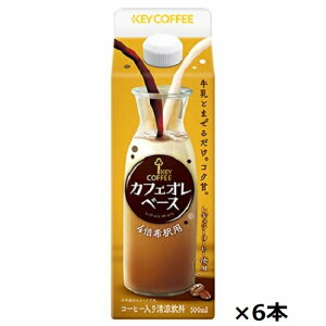 L[R[q[@JtFIx[Xiߗpj 500ml×6{