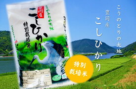 【但馬米穀株式会社】特別栽培 こうのとりの大地 5kg こしひかり 兵庫県但馬産 化学農薬、化学肥料の使用を低減して栽培 取り寄せ商品です お米 白米