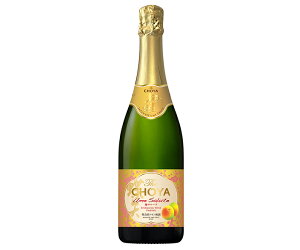 ワイン 梅酒 The CHOYA Ume Salute ザ・チョーヤ ウメ サルーテ 750ml 6本 1ケース 送料無料