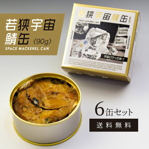 To ዷFI SPACE MACKEREL CAN 90g×6ʃZbg 