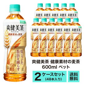 【メーカー直送】　コカコーラ　爽健美茶　健康素材の麦茶　600ml　ペット　2ケースセット（48本入）　送料無料