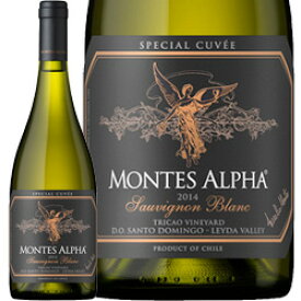モンテス　アルファ / 　スペシャル　キュヴェ　ソーヴィニヨン　ブラン　[2022]　750ml・白　【Montes Alpha】 Special Cuvee Sauvignon Blanc