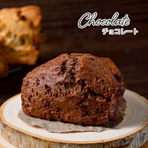 I[KjbÑXR[v[E`RELJEÕ`[Yybp[EI[KjbNIFȖ炨IтIIkCIfގgp