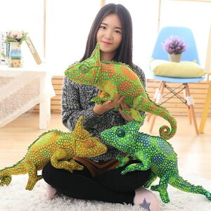JI  Ƃ gJQ 傫  ʂ  xbh ߋ ӂӂ  ̎q j̎q 킢 Mtg  CeA A