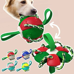   O 邨 hbOgC ނ g[jO {[ |[^u o o XgX v ό`\ S ϋv