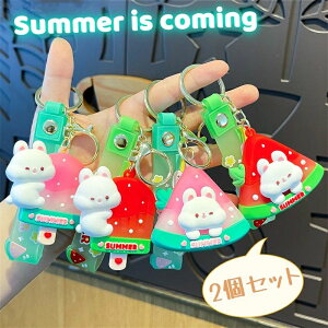 XCJ ACXN[ L[z_[ 2Zbg   킢  ACXN[L[z_[ v[g 蕨 a obO`[ L[`F[ ANZT[ obNpb