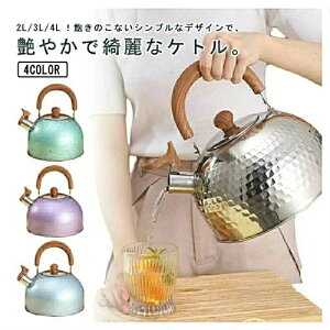 2L 3L 4L やかん 笛吹ケトル ケトル ステンレス ガス火対応 IH対応 大容量 笛吹きケトル 音が鳴る キッチン雑貨 湯沸かしケトル ステンレス キッチン用品 安心 直火 IH対応 広口 かわいい おしゃ