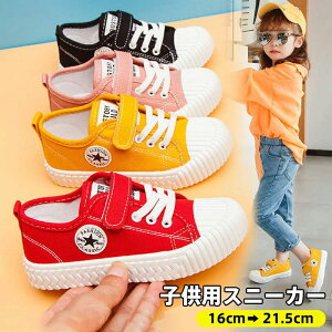 LbY Xj[J[ j̎q ̎q jp ʊw WjA y  c V[Y qC ʋC  qǂ X|[cC ʉ ~  t  H n YbN K[Y V[