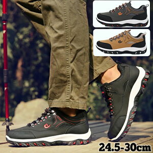 Xj[J[ ^C jOV[Y Y fB[X  h V[Y ʋ ʊw y  L ʋC EH[LOV[Y oRC gbLOV[Y JWAV[Y X