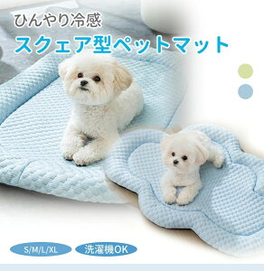 y}\N[|×P5{zybgxbh N[ ڐG⊴   ₽ S M L ̂ ӂӂ ̈U ې ^ ^  L p^ XNGA _^ Ђ ybg N[