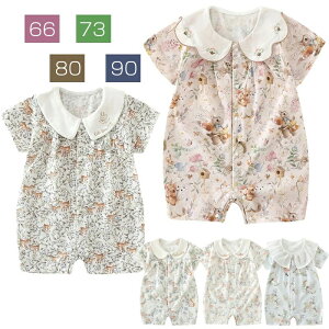   p[X V[gI[ _炩  Jo[I[ xr[ OJ k j̎q ̎q j q xr[ V