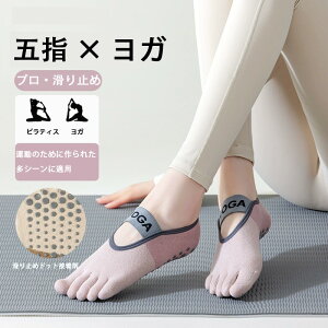 ܖ{wC vtBbglX VRꕔ~ K seBX fB[XC  z w ܑX|[cC lȐF ۖhL 00% Rbg ɗD K ʋC ߕt