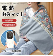 【2025新春福袋--1980円 】電気よもぎマット 電気マット 一人用 布団 ミニ 電熱マット ホットマット 電気…