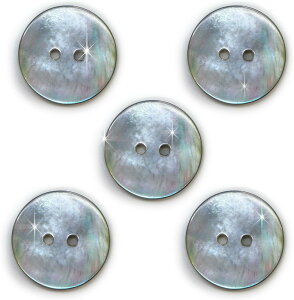 シェルボタン 貝ボタン 貝製 片面 黒蝶貝 シャツ ボタン 二つ穴ボタン 黒 ブラック 5個入り 【20mm】 きらきらぷんぷん丸 B-514