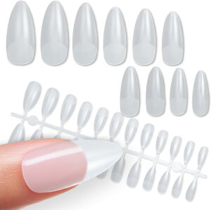 lC`bv XLj[I[o 240 10TCY t O  NA  ZtlC WFlC TfBOς 炫ՂՂ NTIP-005