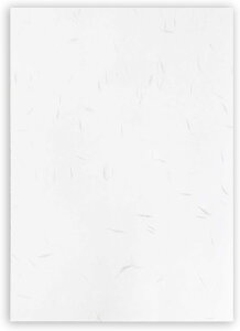 a yz A4TCY (zCg) CNWFbgv^[Ή y20z 210x297mm