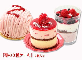季節限定『苺の3種ケーキ』3個入春スイーツ 北海道スイーツ