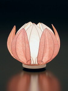 y~񓔁E傤z@͂Ȃ@sN@y_zyCeAzy^zy㕧dz