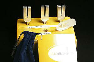 y򉻃ObYzGWF`[i[ BIOSONICSА tZbgf ؐt