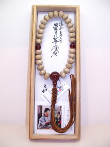 �O��@������������@���m�E��