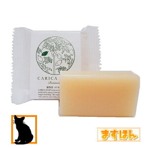 AJJΌy30gzŌ`΂ A N[~[ ApbN   tFCXPA wAPA XLPA JJZsz VRppCA vv h v[g RpNg 