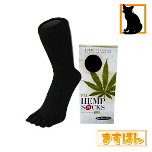 EMwvܖ{w\bNXyz wv ȍa ʋC 5{w \bNX C jp bNX^C ʋ d  N  }bT[W z ΍ {