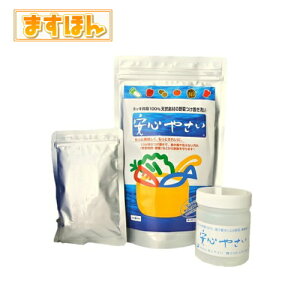 S₳ypE_[^Cv300gz ؐ 100VRf ۍ ḦS Nxێ Lb`pi {