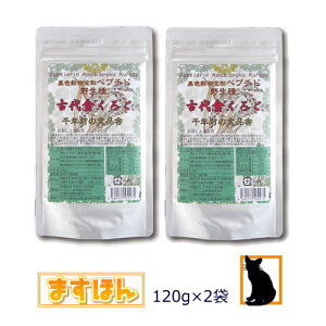 ÑH낲(120g)y2ZbgzyĎ̂ō΂zy^Cvzyv`h RH  哤 S} ̎   tNgIS ꕨS {