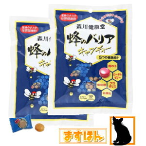 ĨoA LfB[i2܁jI̎q [[[I v|X ̂ǈ  X쌒N LfB  [ {