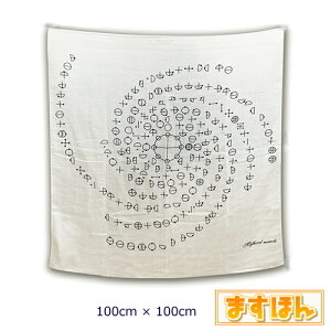 J^Ji 3dK[[Pbg 100 唻 XNGA Y  { 100cm Ђ| V[ ^I ێRCt