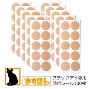 ubNACp\tV[y50×2܃Zbgzɂ͂ɂ^Cv V[ H ubNAC ێRRC {