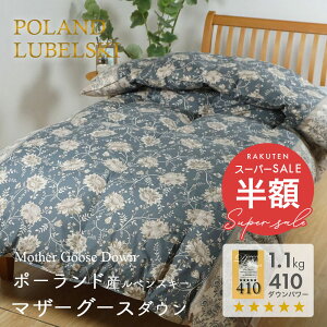 yX[p[Z[ zȉzHѐXHѕzc VOO |[hY ō xXL[ zCg}U[O[X_E 93 1.1kg ܃c_Ep[410dp w̃L