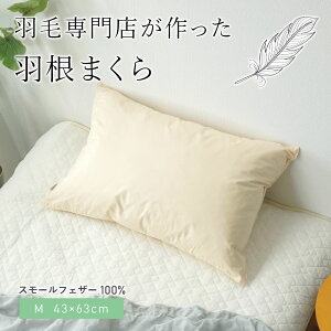  tFU[s[ { M 43×63cm X[tFU[100 H܂ nCNIeB zes[ ze featherp-m