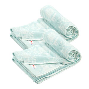 新柄 2枚組 西川 タオルケット 今治 日本シングル 綿100% 今治産 今治織 ジャガード ジャガード織 ほどよく 厚手 丸洗い 洗濯可 ギフトにもおすすめ 今治タオルケット 2枚組