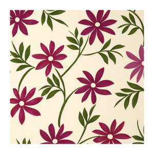 zcJo[ 55×59cm 59×63cm 唻 [ Sybilla Vr vg^Cv ԂƂJo[ zc Jo[ NbVJo[ 100 Rbg100 XNGA p^ lp V 蕨 v[g 