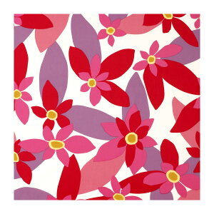 zcJo[ 55×59cm 59×63cm 唻 [ Sybilla Vr vg^Cv ԂƂJo[ zc Jo[ NbVJo[ 100 Rbg100 XNGA p^ lp V 蕨 v[g 