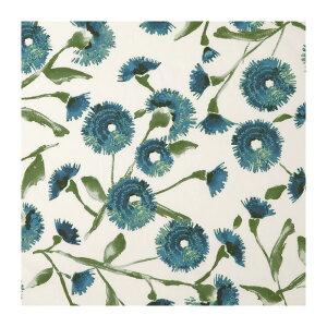 zcJo[ 55×59cm 59×63cm 唻 [ Sybilla Vr vg^Cv ԂƂJo[ zc Jo[ NbVJo[ 100 Rbg100 XNGA p^ lp V 蕨 v[g 