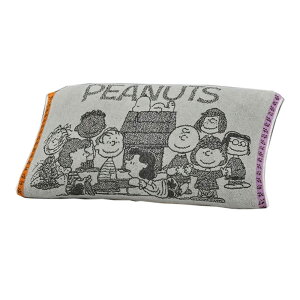 ���J�o�[ �̂т̂� ���� �s�[�i�b�c PEANUTS �X�k�[�s�[ �s���[�P�[�X �܂���J�o�[ �L�k�� �p�C���n Ag�R�ۉ��H ��64×34cm �^�I���f�� 35×50cm�E63×43cm�ɂ� PEANUTS GANG ��l���킢���X�k�[�s�[ XT6620