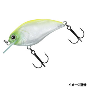 _C A[ XeB[Y XNGA 100 `[gVbhy䂤pPbgz