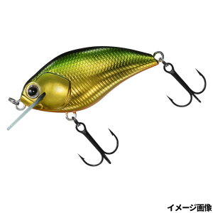 _C A[ XeB[Y XNGA 100 ~hLy䂤pPbgz