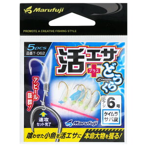 ܂ӂ GTvXǂ炭 6 PCTo [T-062]y䂤pPbgz