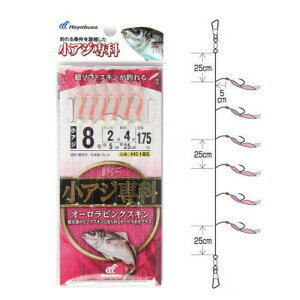 AW I[sNXL HS185 j8|nX2y䂤pPbgz